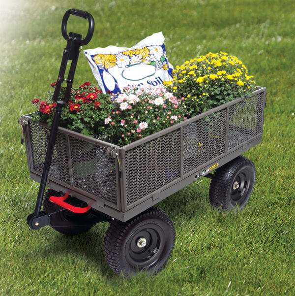 cart carrying flowers